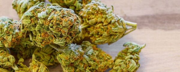 CBD Amnesia